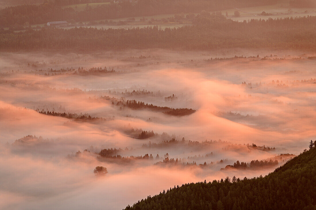 Nebelstimmung über dem Chiemgau, von der Gederer Wand, Kampenwand, Chiemgauer Alpen, Chiemgau, Oberbayern, Bayern, Deutschland