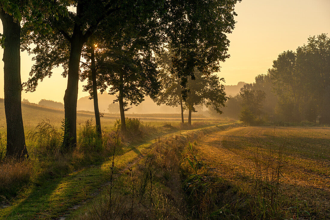 Glorious spring morning in Piedmont, Italy, Europe