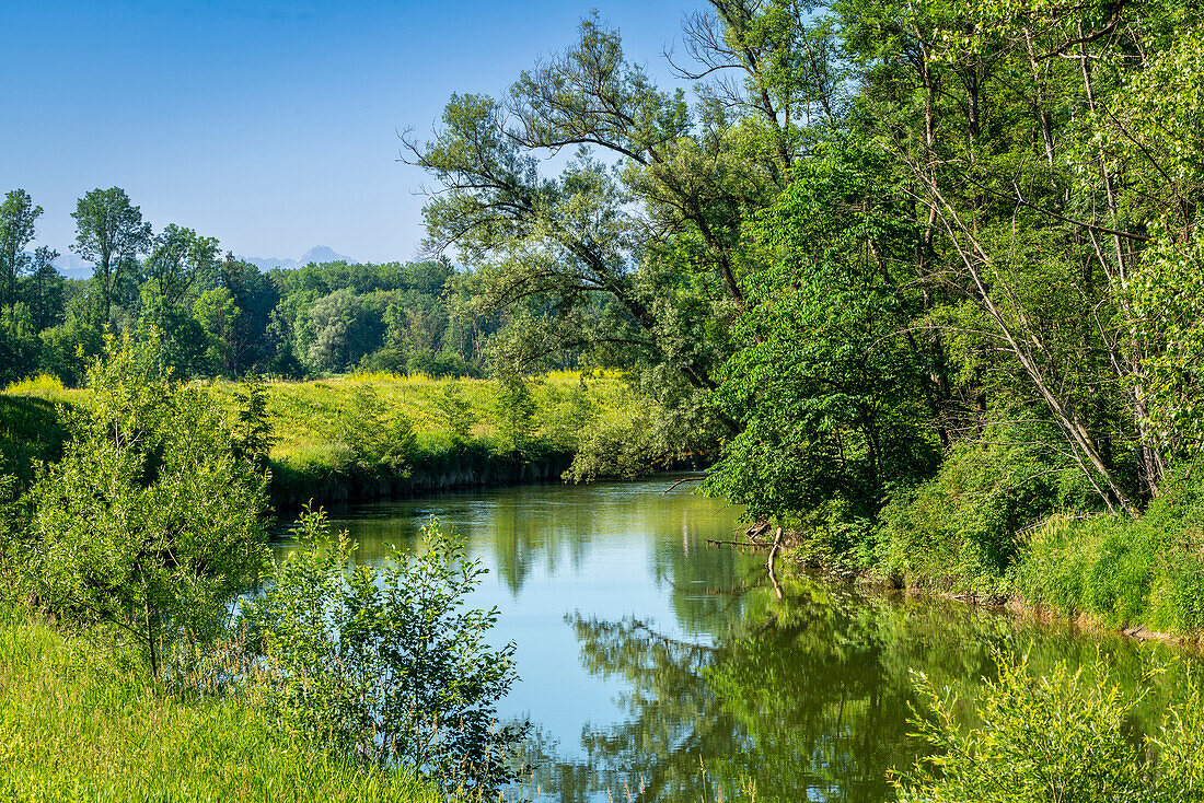 Herrlicher Frühlingsmorgen an der Ammer bei Weilheim, Bayern, Deutschland