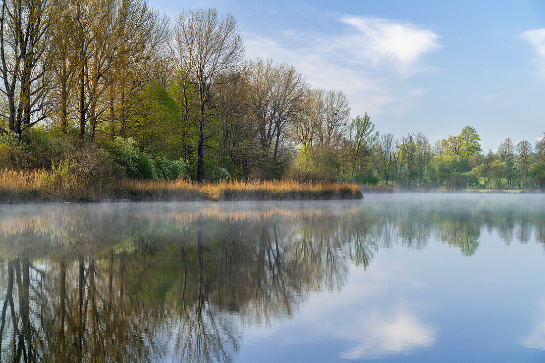 Herrlicher Frühlingsmorgen am Dietlhofer See, Weilheim, Bayern, Deutschland