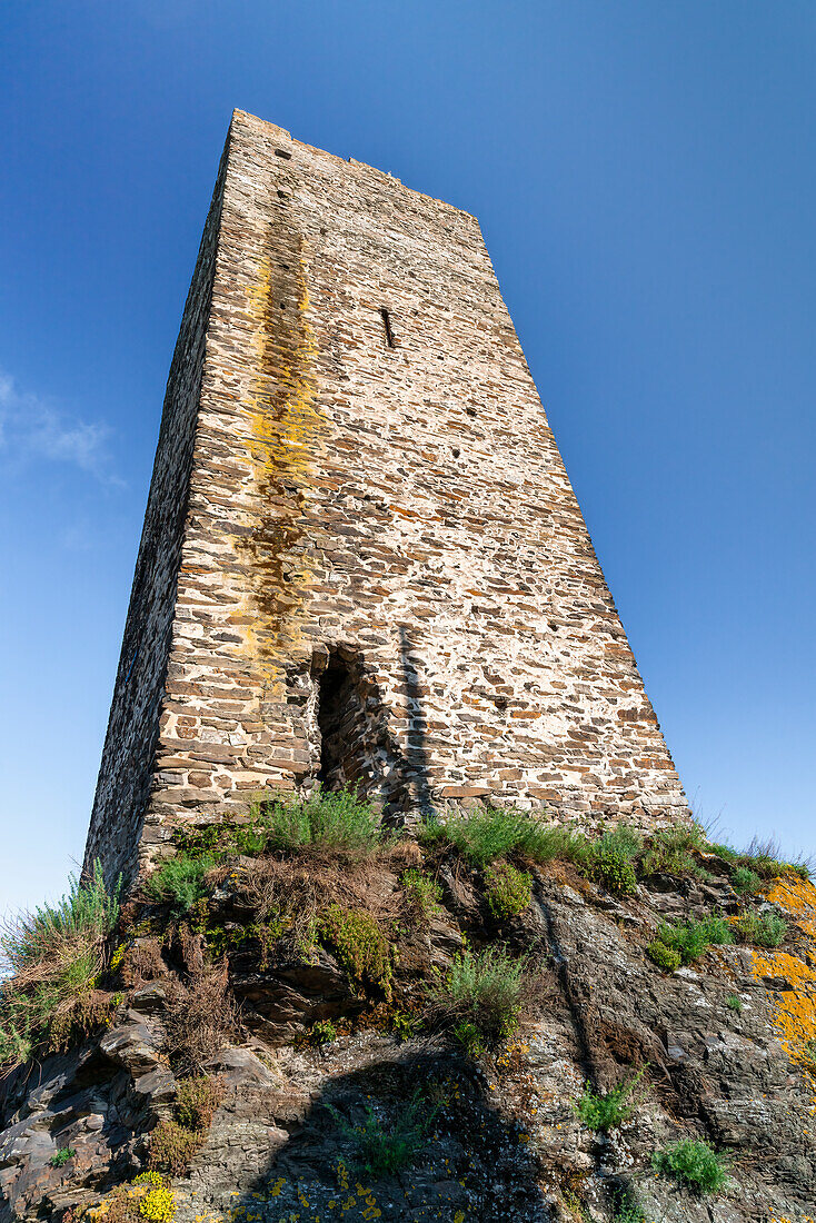 On the impressive Niederburg of Kobern-Gondorf in spring, Moselle, Rhineland-Palatinate, Germany