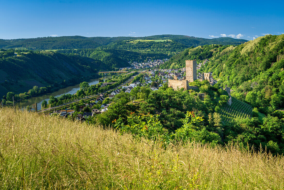 Blick auf die Niederburg und Kobern-Gondorf im Frühling, Mosel, Rheinland-Pfalz, Deutschland