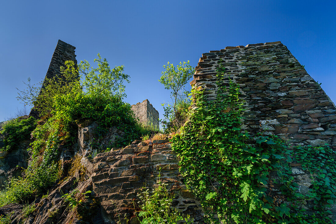 Blick auf die beeindruckende Ruine Niederburg von Kobern-Gondorf im Frühling, Mosel, Rheinland-Pfalz, Deutschland