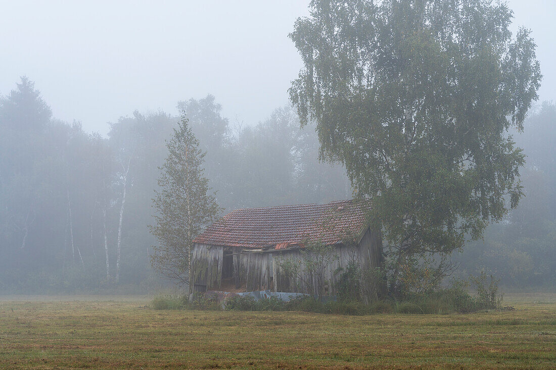 Picturesque old field barn in the moor, Weilheim, Upper Bavaria, Bavaria, Germany