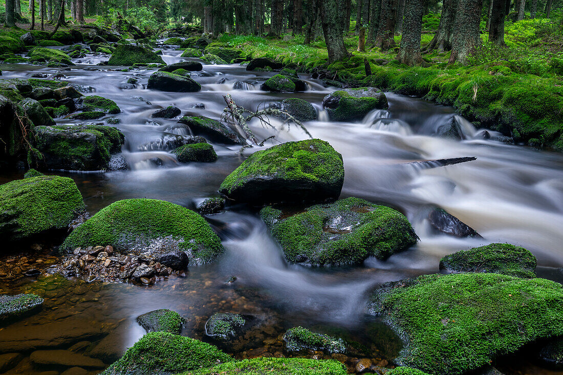 Inflow of the river Vydra, Bohemian Forest, Czech Republic, Europe
