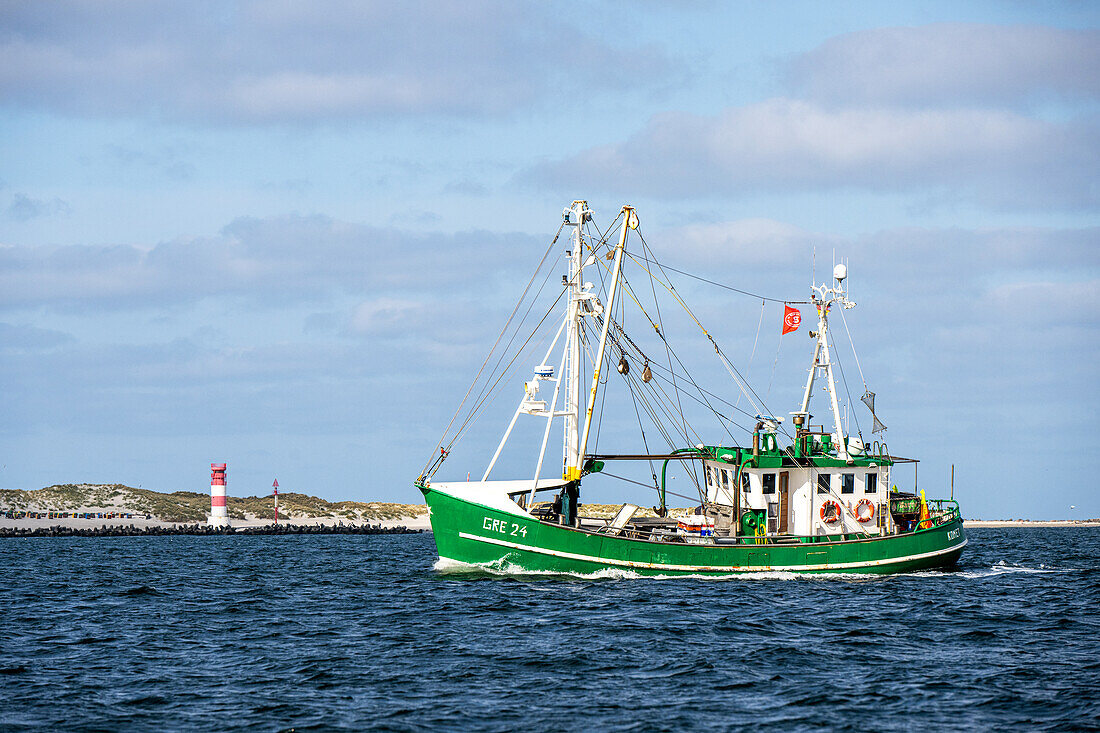 Shrimp cutter in front of the Duene Heligoland with lighthouse, Helgoland, Insel, Schleswig-Holstein, Germany