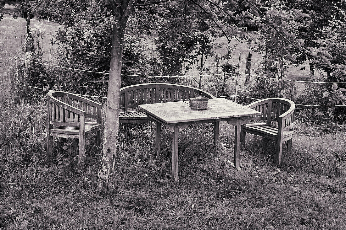 Old garden table and garden chairs under a tree in a garden, North Rhine-Westphalia, Germany