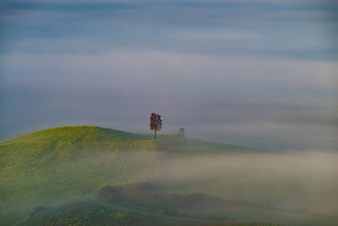 Landscape at sunrise around Volterra, Province of Pisa, Tuscany, Italy, Europe