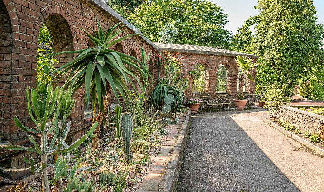 Winter garden of Villa Taranto on Lake Maggiore, Pallanza, Piedmont, Italy