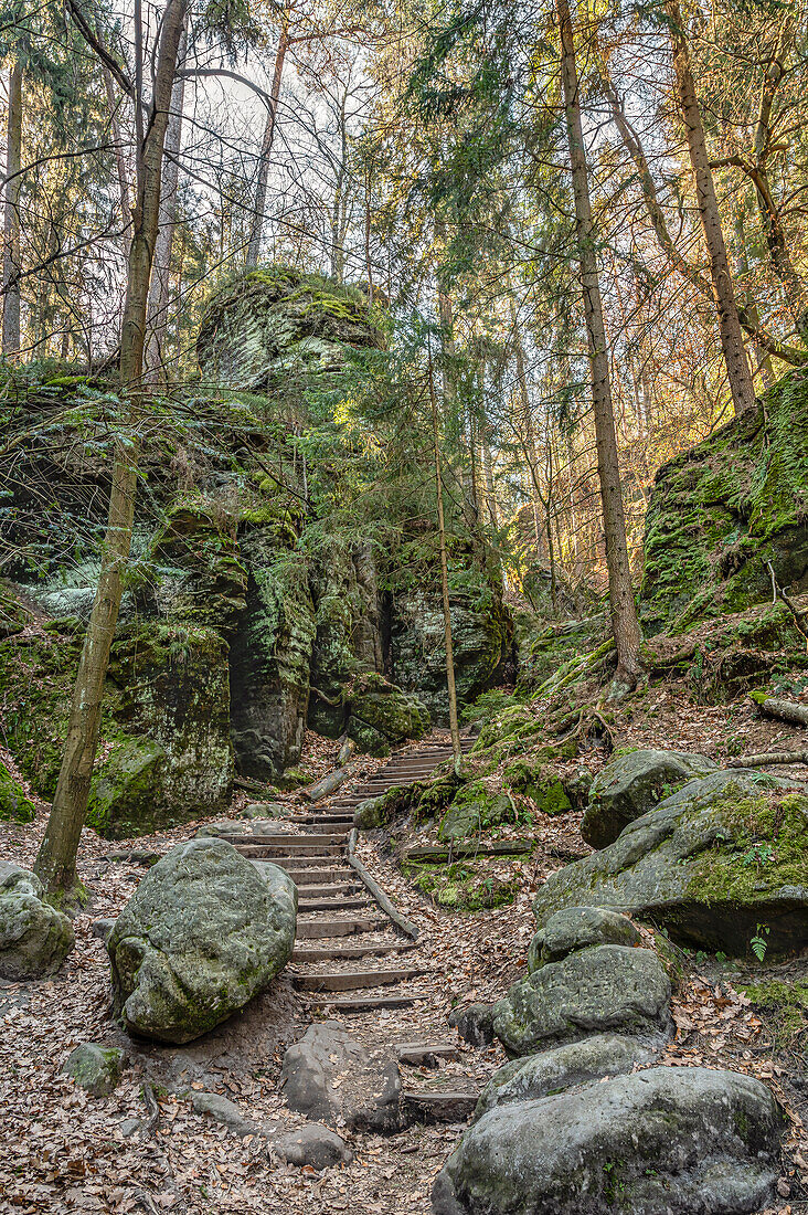 Felsentreppe zur Schwedenlöcher Felsformation, Sächsische Schweiz, Sachsen, Deutschland