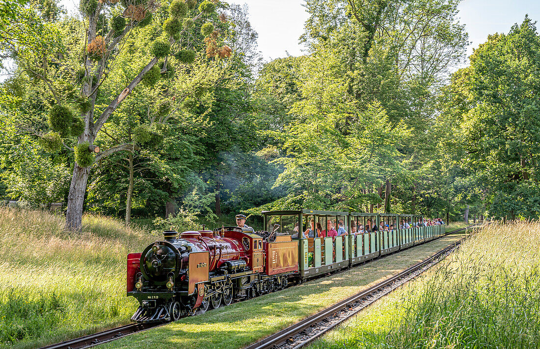 Park railway steam locomotive in the Great Garden of Dresden, Saxony, Germany