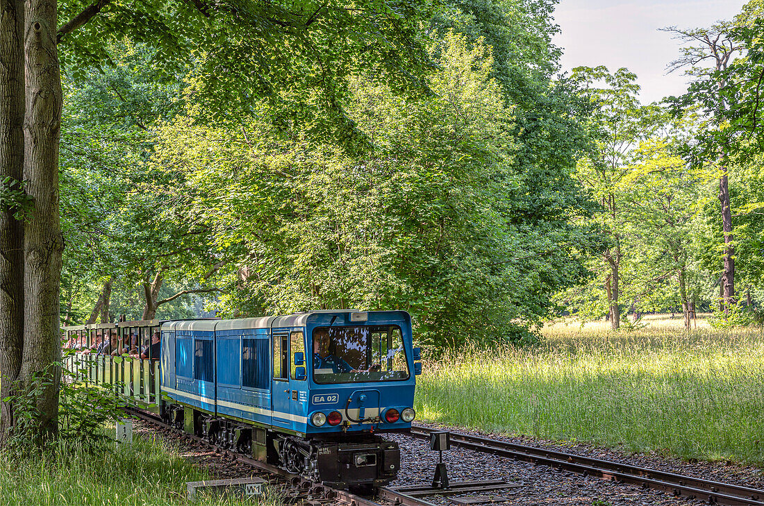 Park railway in the Great Garden of Dresden, Saxony, Germany