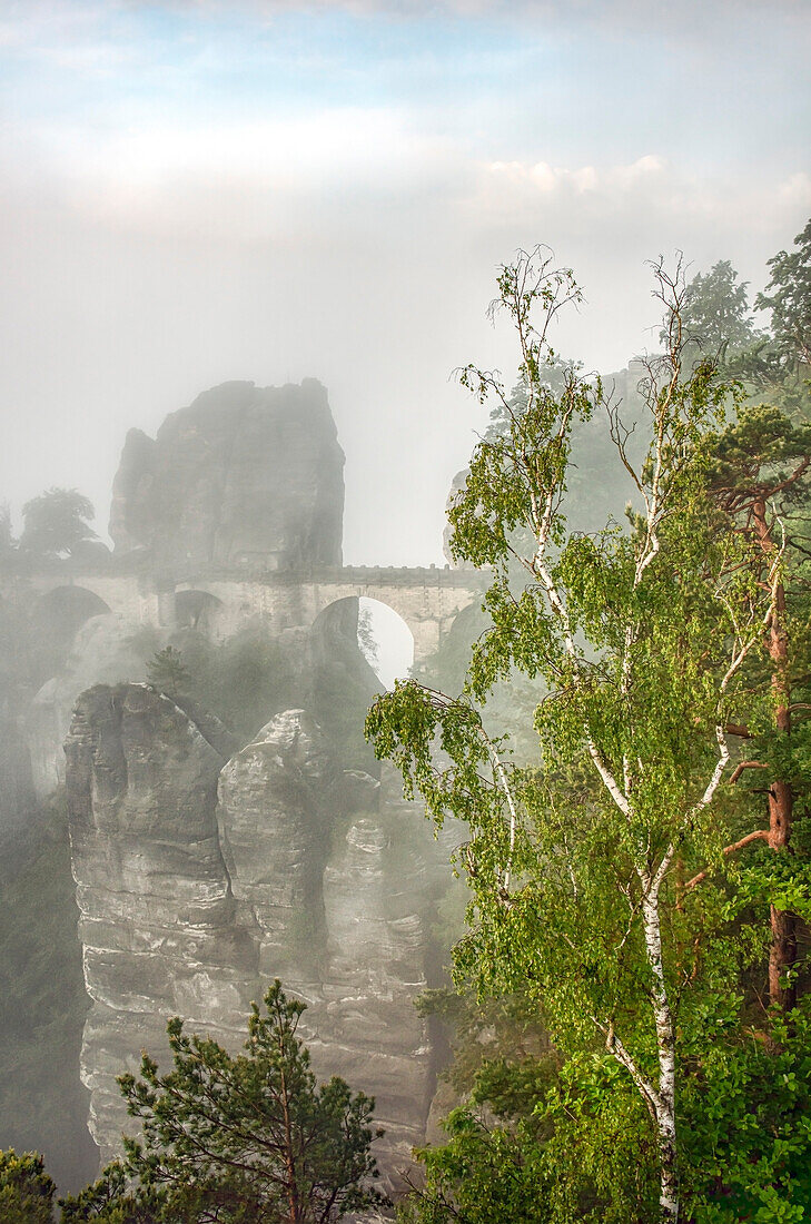View of the Bastei in the morning fog, Saxon Switzerland, Saxony, Germany