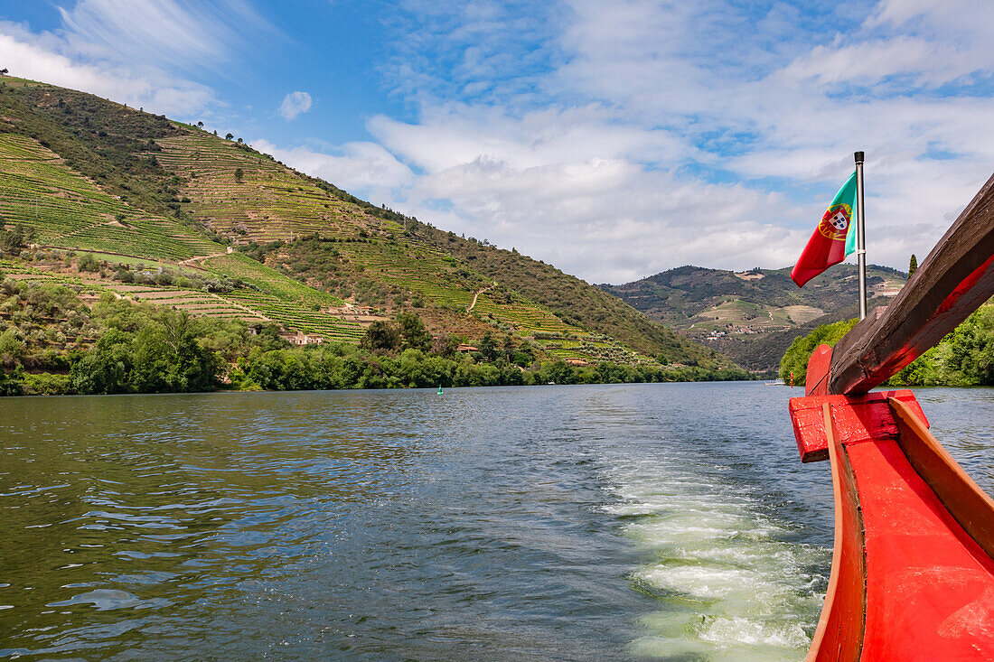 View of vineyards from a boat on a tour of the Upper Douro River, Portugal