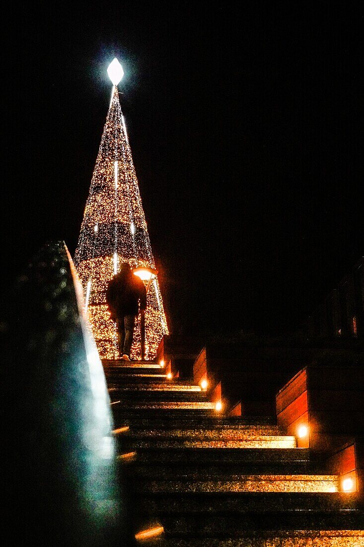 Danzig, Polen Ein Mann geht die Stufen zum riesigen beleuchteten Weihnachtsbaum in der Altstadt hinauf.
