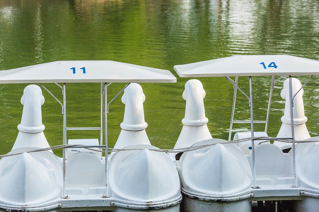 Thailand,Bangkok,Lumphini Area,Lumphini Park,swan-shaped paddle boats.
