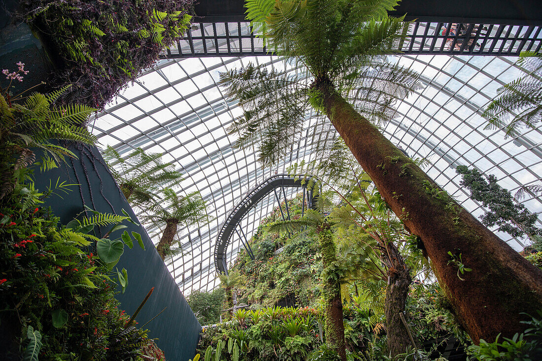 Wolkengarten; Marina Bay-Gärten; Singapur