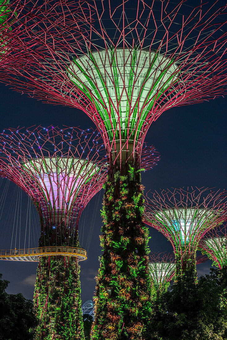 Supertrees, Gardens by the Bay, Singapur,