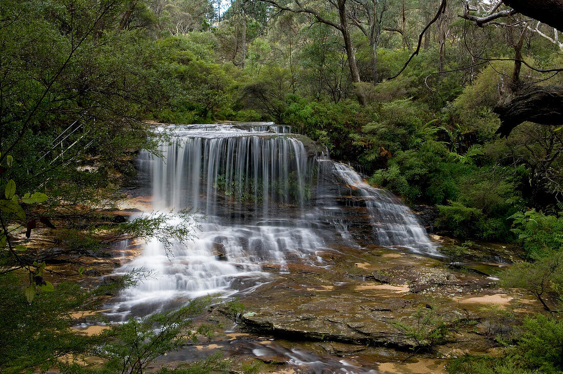 Weeping Rock Falls, Upper Wentworth Falls, Blue-Mountains-Nationalpark, NSW, Aus