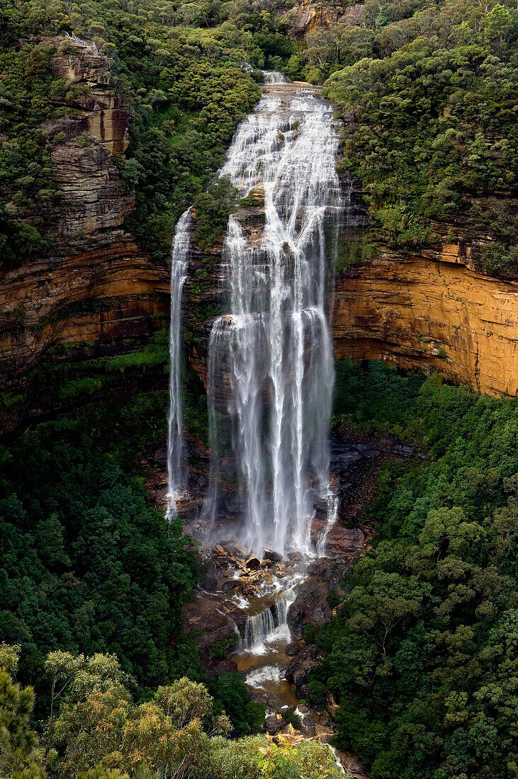 Wentworth Falls, Blue Mountains, NSW, Australien