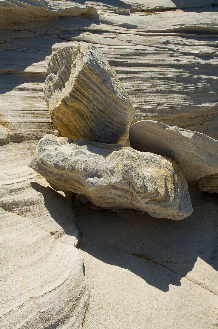 Sandstone rocks, Royal National Park, Sydney,NSW,Australia