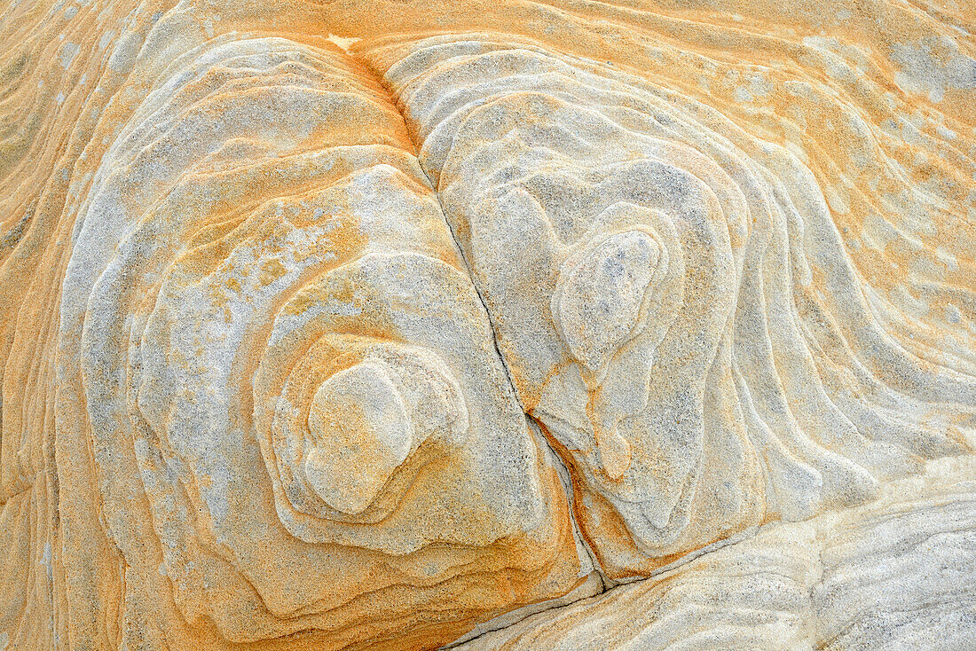 Royal National Park sandstone patterns, NSW, Australia