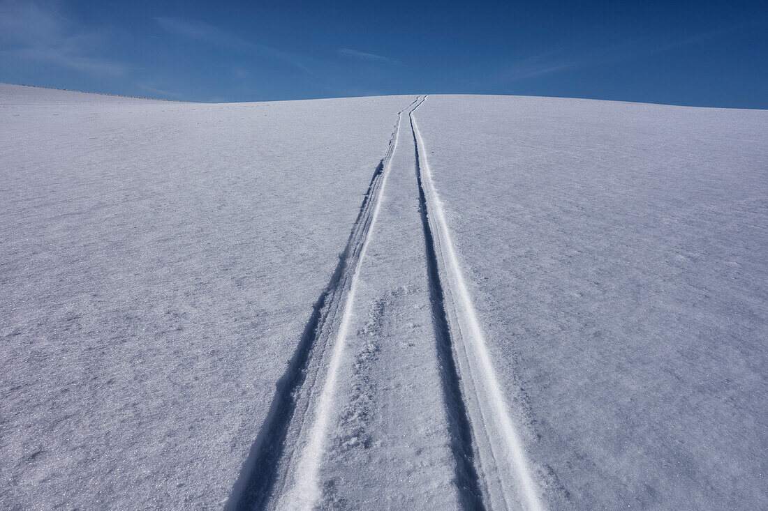 Sled tracks on snow