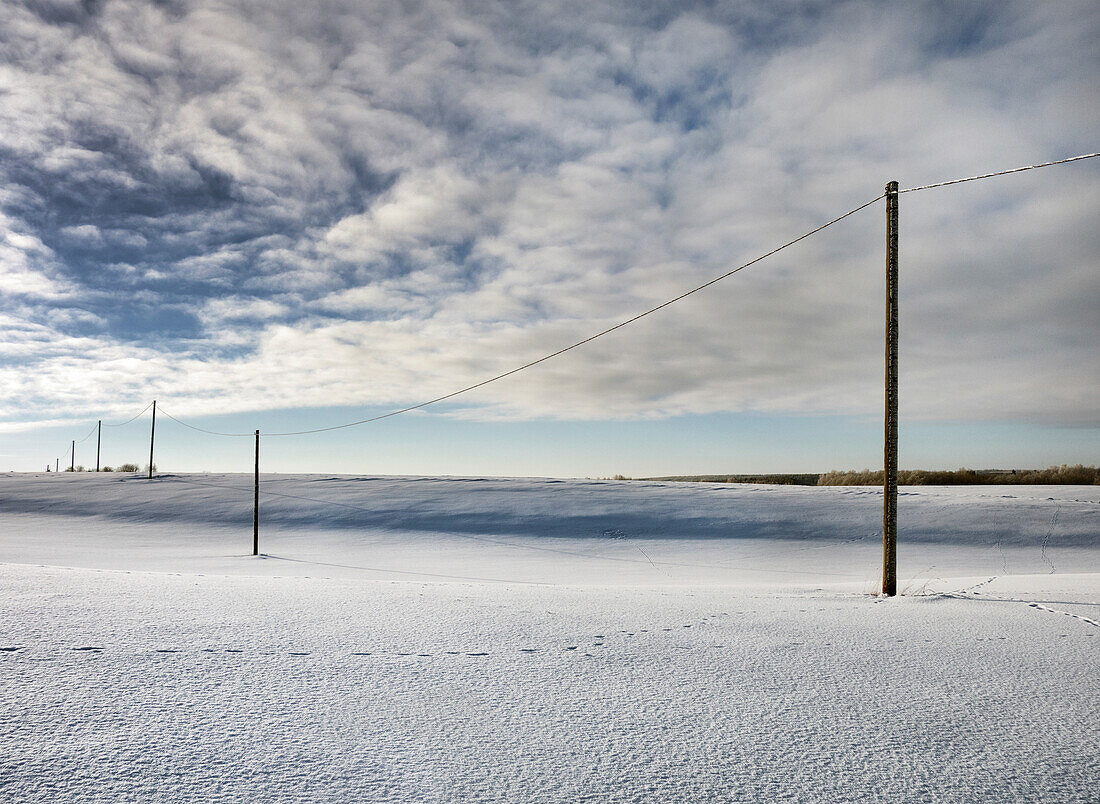 Reihe von Strommasten aus Holz in einer offenen Winterlandschaft