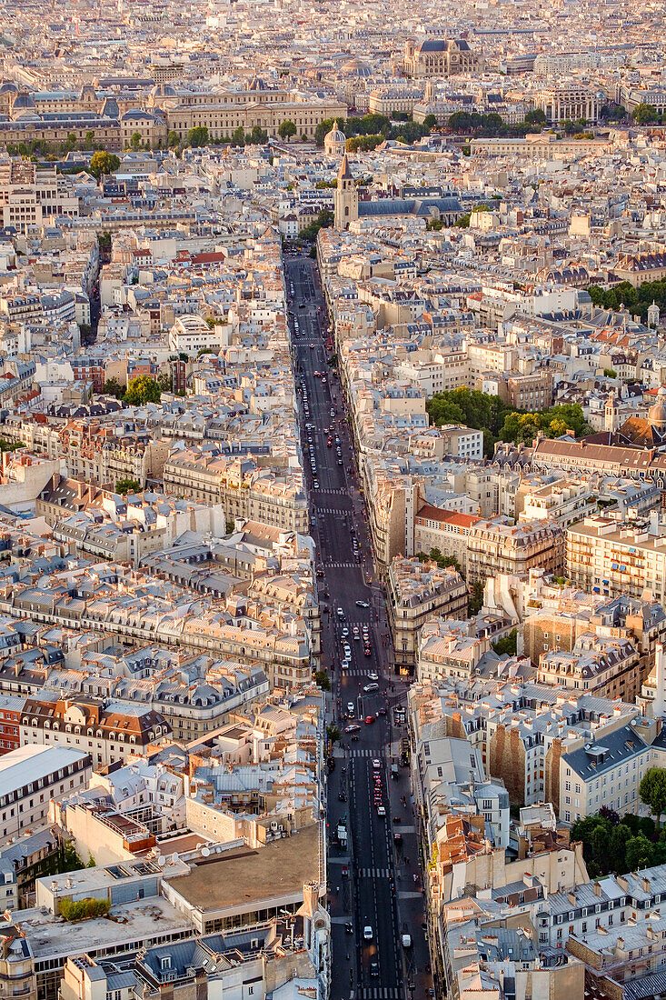 A wide city boulevard in the centre of Paris, road with traffic