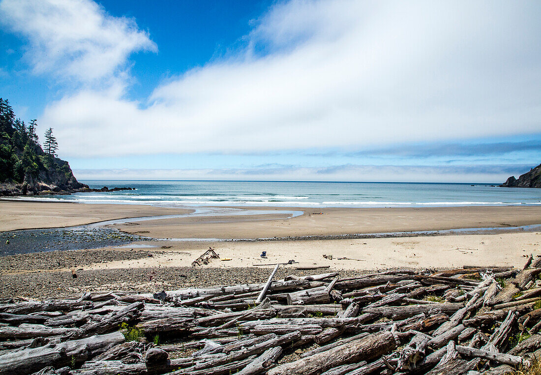 Large driftwood trunks piled on Short Sands Beach, USA
