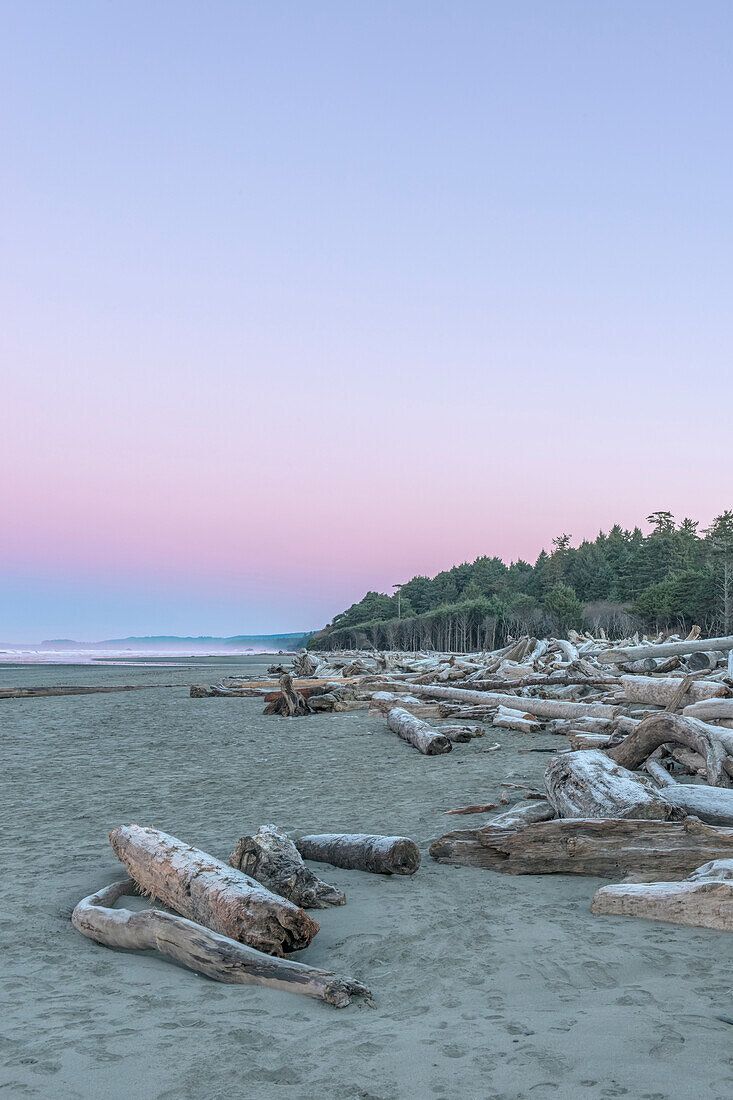 Kaoloch Beach in Olympic National Park with large pieces of driftwood on the sand and forest behind, USA