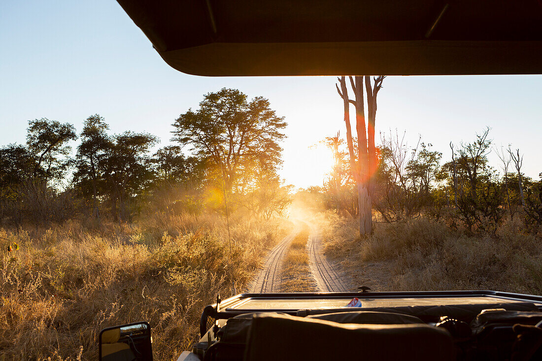Safarifahrzeug bei Sonnenaufgang, Okavango Delta, Botswana.