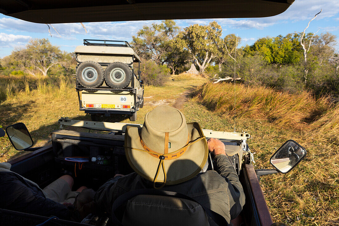 Ein Safariführer mit Buschhut am Steuer eines Jeeps, Okavango-Delta, Botswana, Afrika