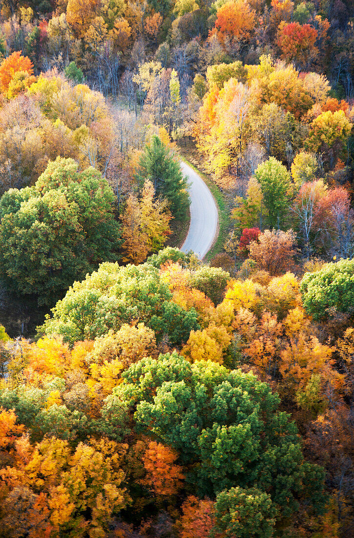 Straße, die durch den Herbstwald läuft, von oben gesehen.