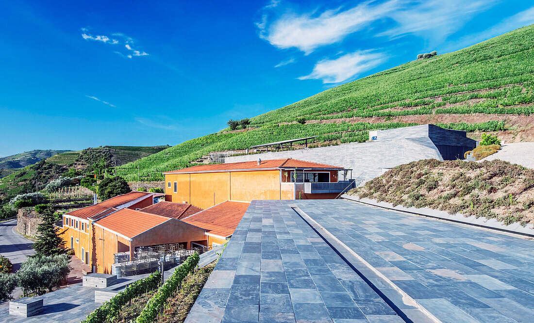 Vineyard and winery buildings in the Douro Valley, Portugal