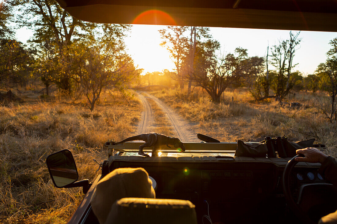 Ein Safari-Jeep, Passagieransicht der Schotterstraße voraus bei Sonnenaufgang, Okavango-Delta, Botswana