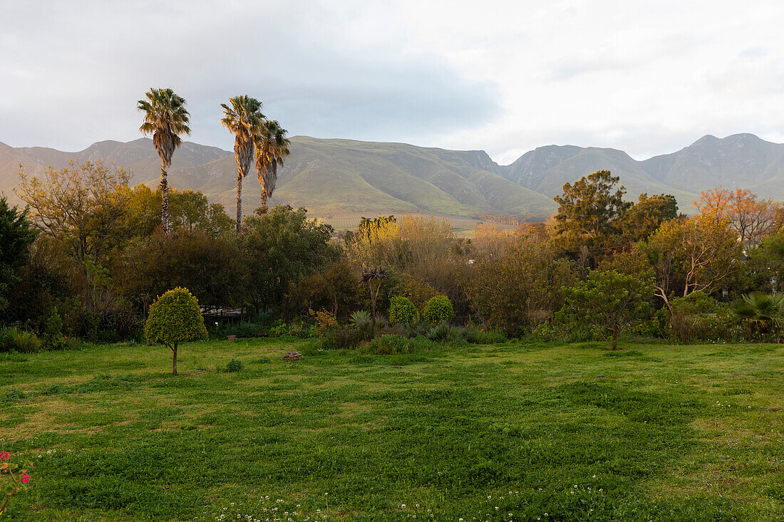 Scenic view of the Klein mountains and forest, Stanford, South Africa