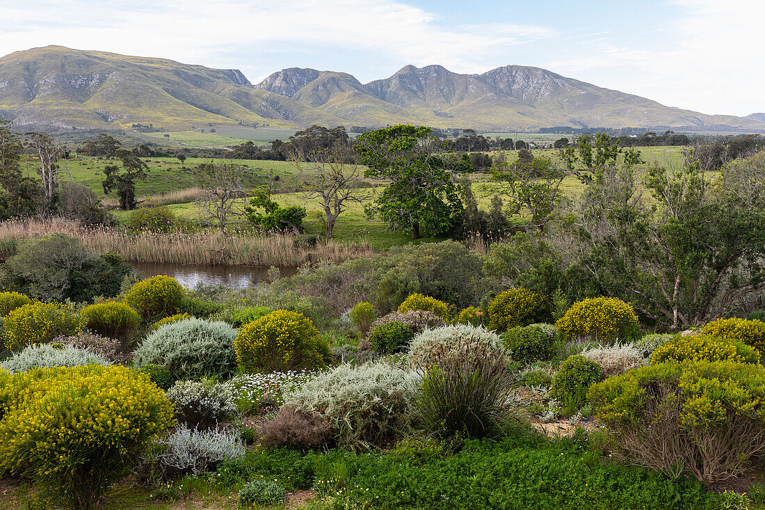 Blick über eine ruhige Landschaft, ein Flusstal und eine Bergkette, Klein Mountains, Südafrika