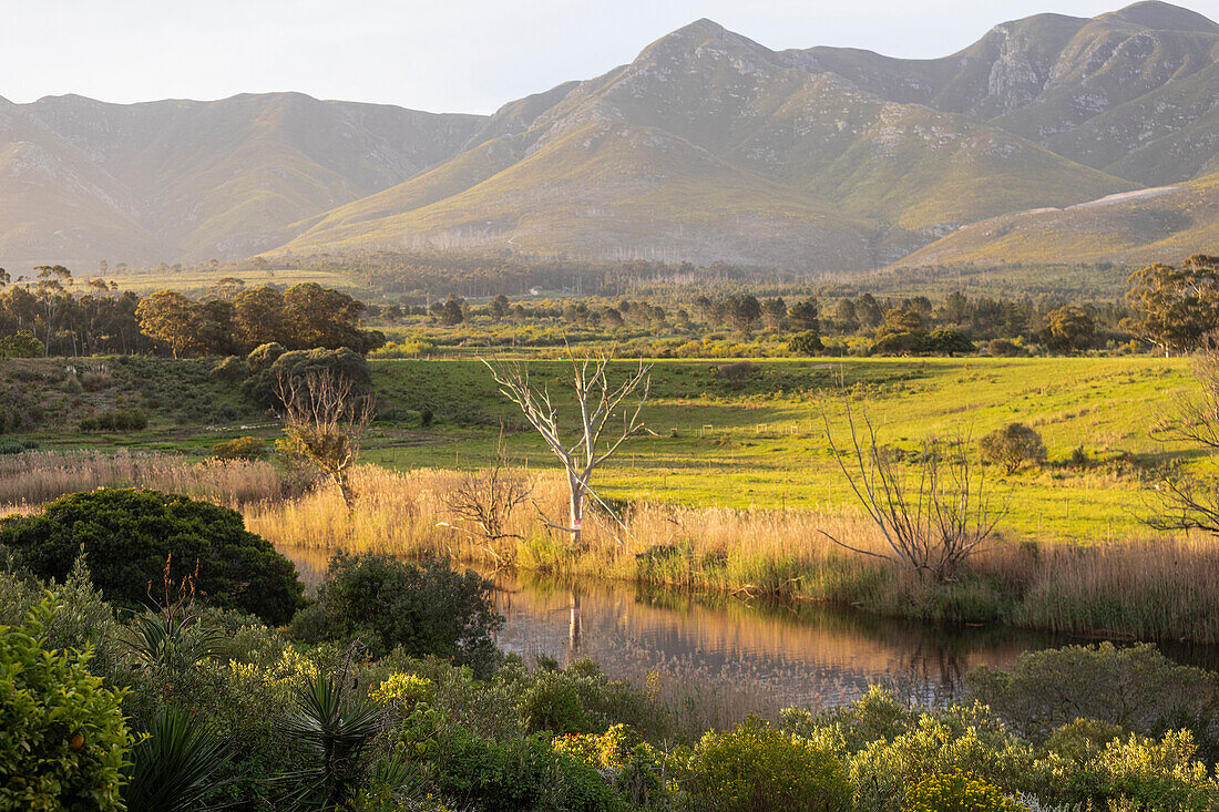 Blick über eine ruhige Landschaft, ein Flusstal und eine Bergkette, Klein Mountains, Südafrika