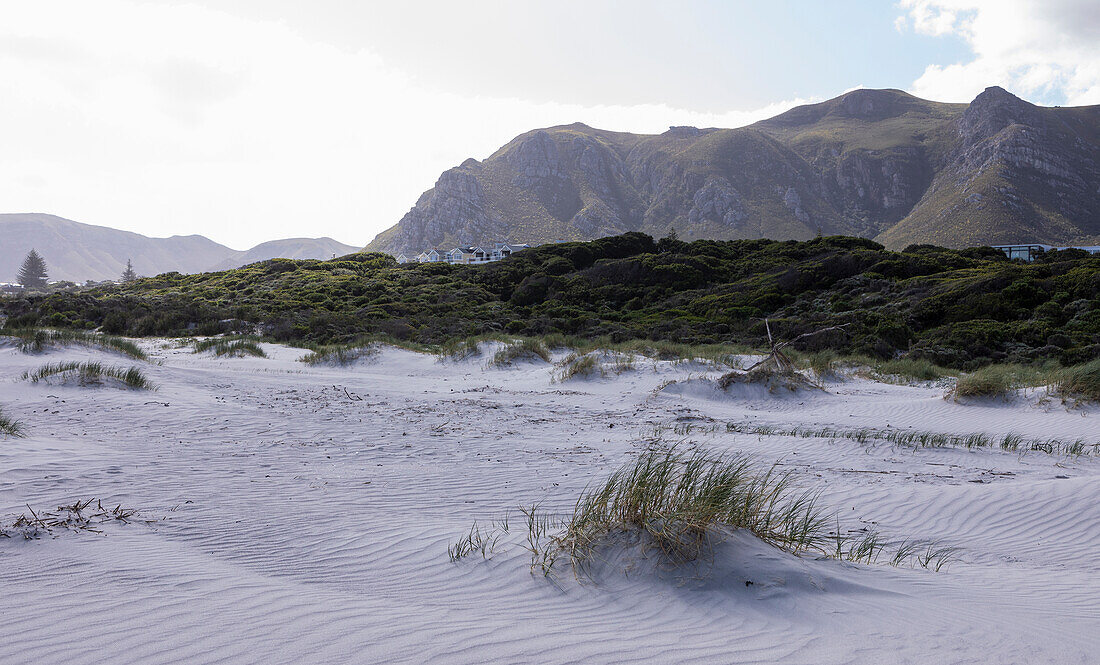 Grotto Beach, Hermanus, Westkap, Südafrika.