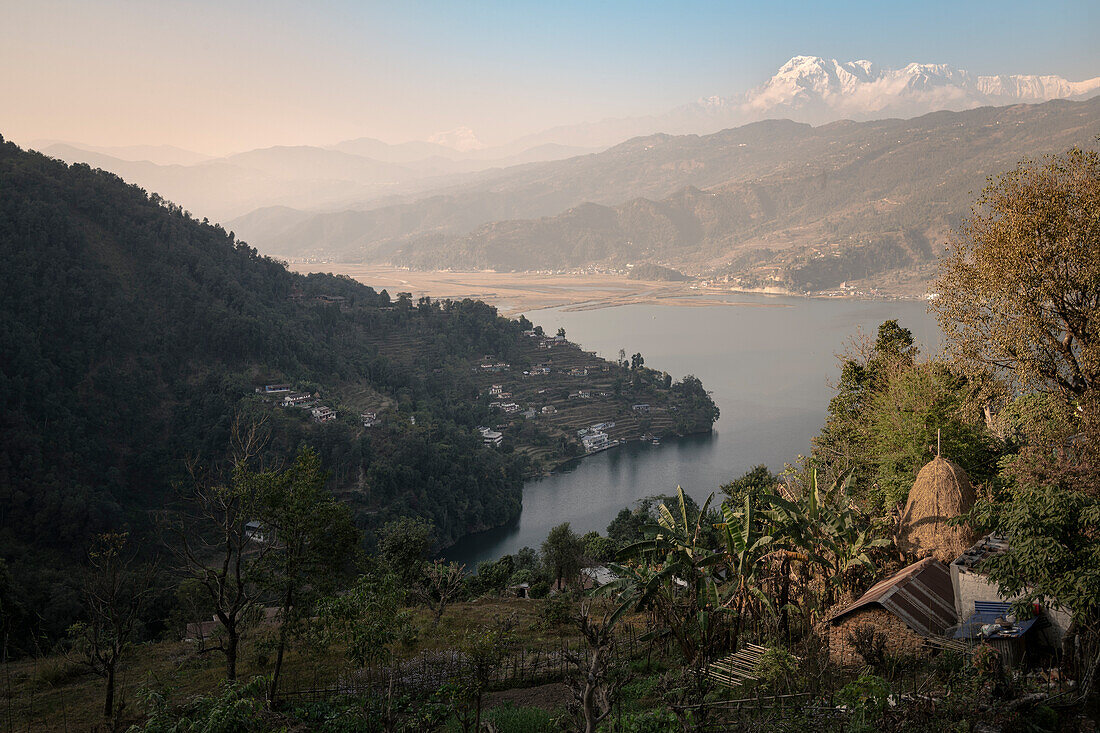 Blick über Phewa See, Pokhara, Kaski, Nepal, Himalaya, Asien