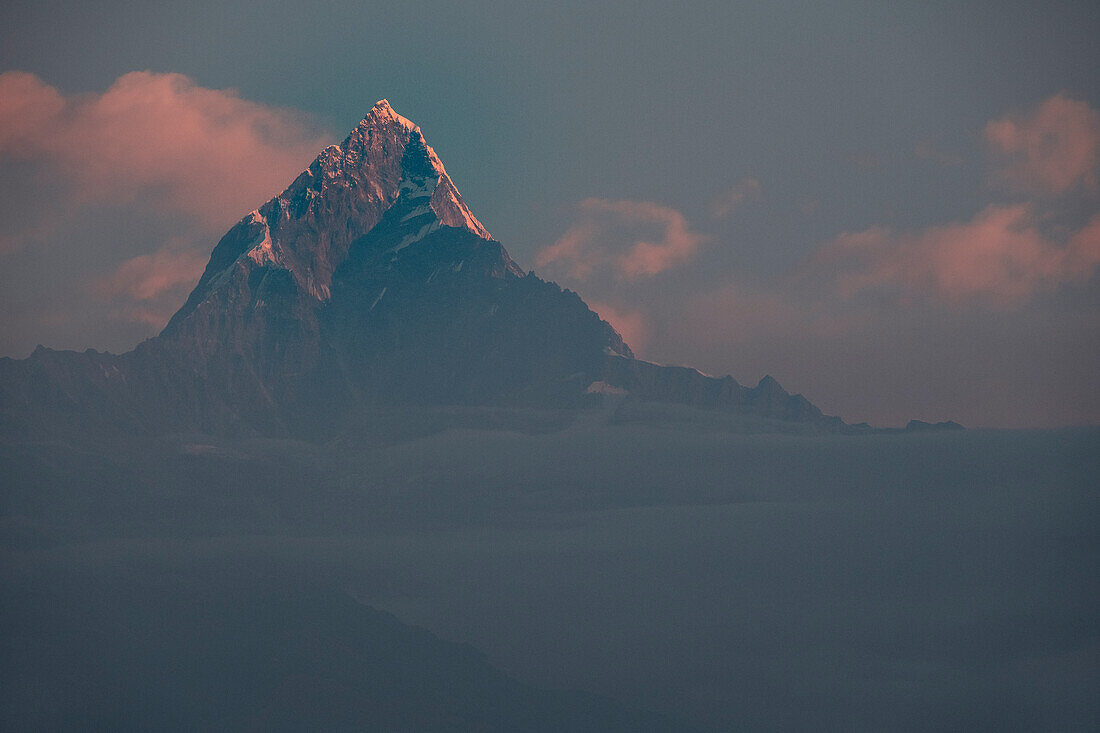 Blick von Sarangkot zum Machapucharé Berg bei Pokhara, Kaski, Nepal, Himalaya, Asien