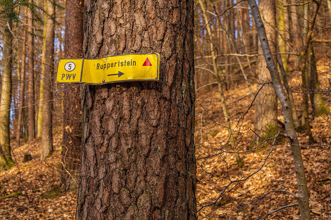 Signpost to Ruppertstein, Lemberg, Palatinate Forest, Southwest Palatinate, Rhineland Palatinate, Germany, Europe