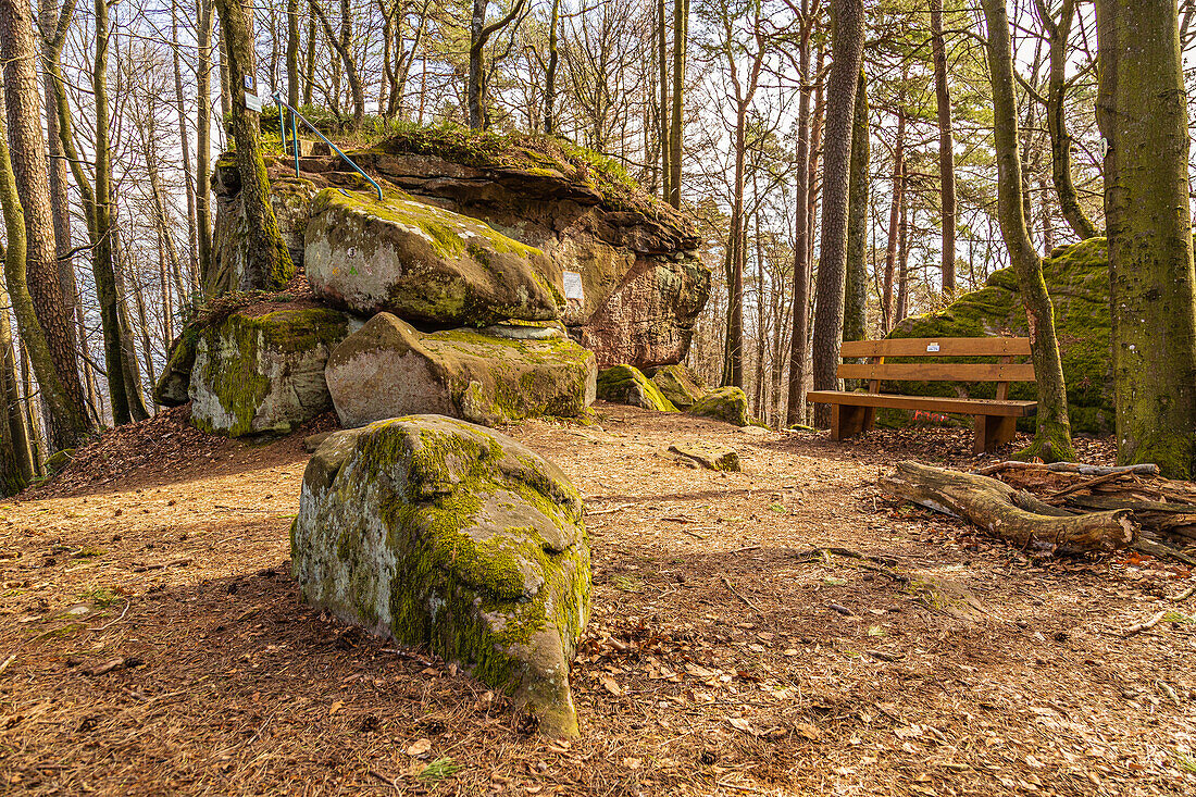 Felsen mit Parkbank im Naturpark Pfälzerwald, Lemberg, Südwestpfalz, Rheinland-Pfalz, Deutschland, Europa