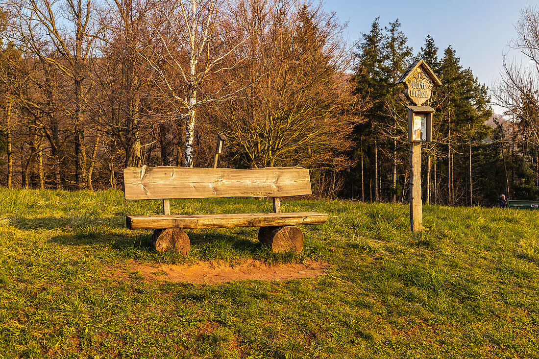 View of a viewing bench, Birkweiler, Southwest Palatinate, Rhineland Palatinate, Germany, Europe