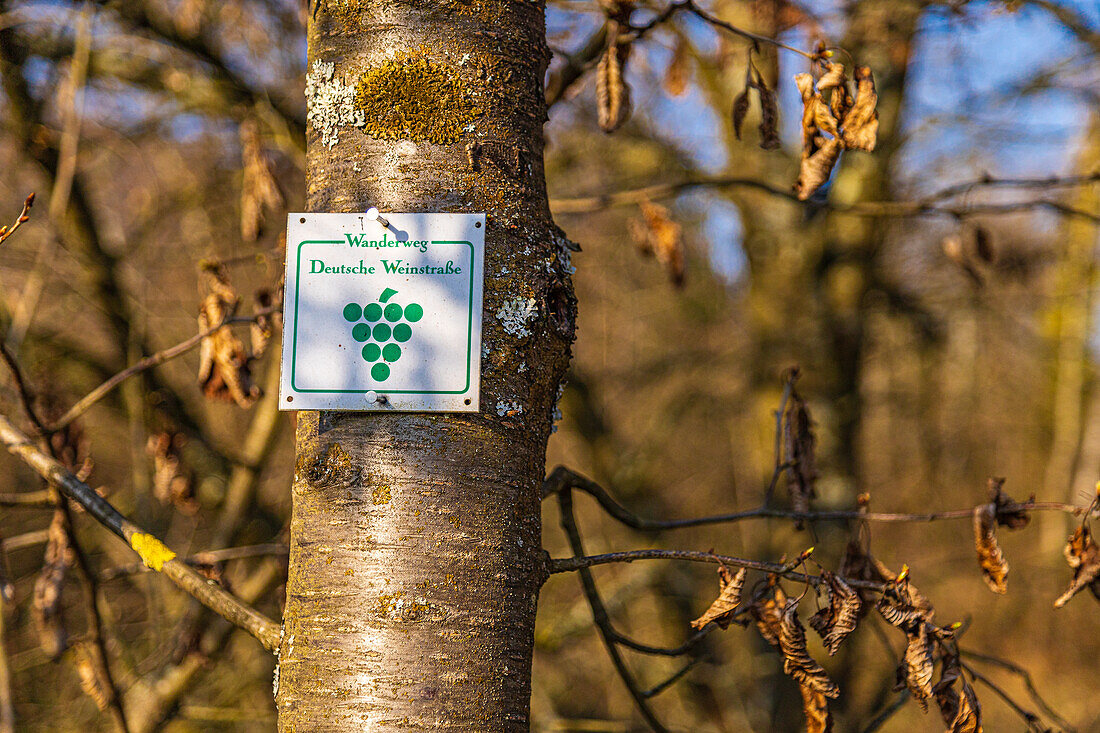 Hiking sign, German Wine Route, Birkweiler, Southwest Palatinate, Rhineland-Palatinate, Germany, Europe