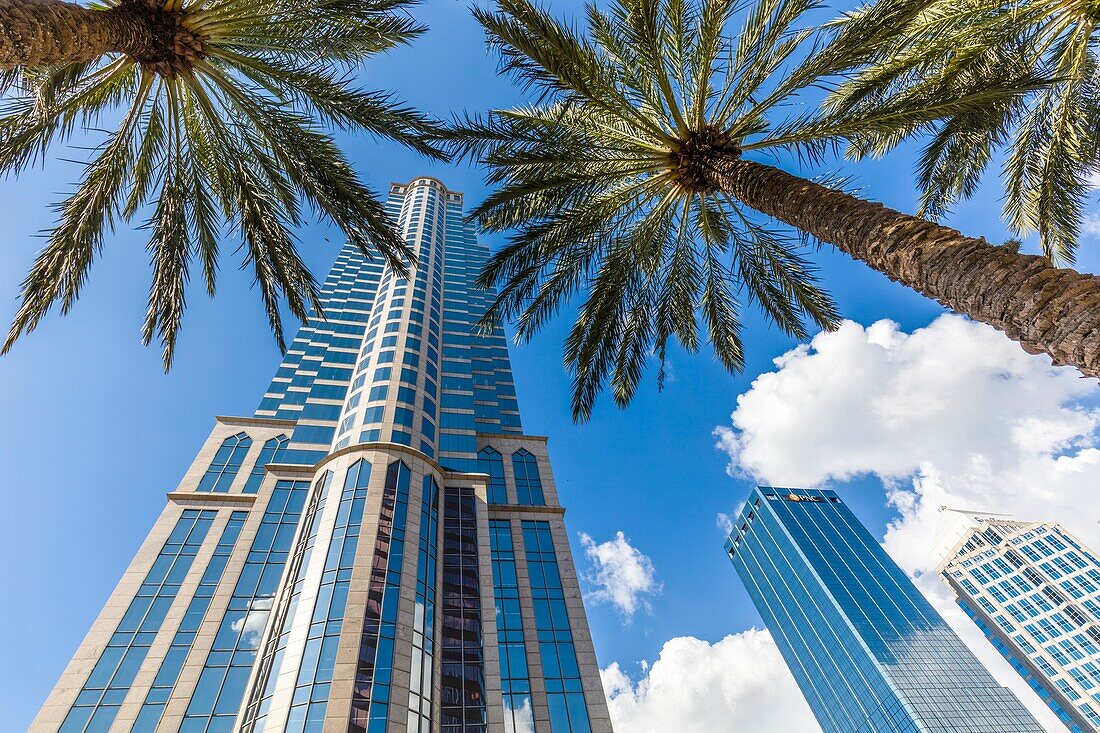 Hohe Gebäude in der Innenstadt von Tampa Florida an einem sonnigen Tag.