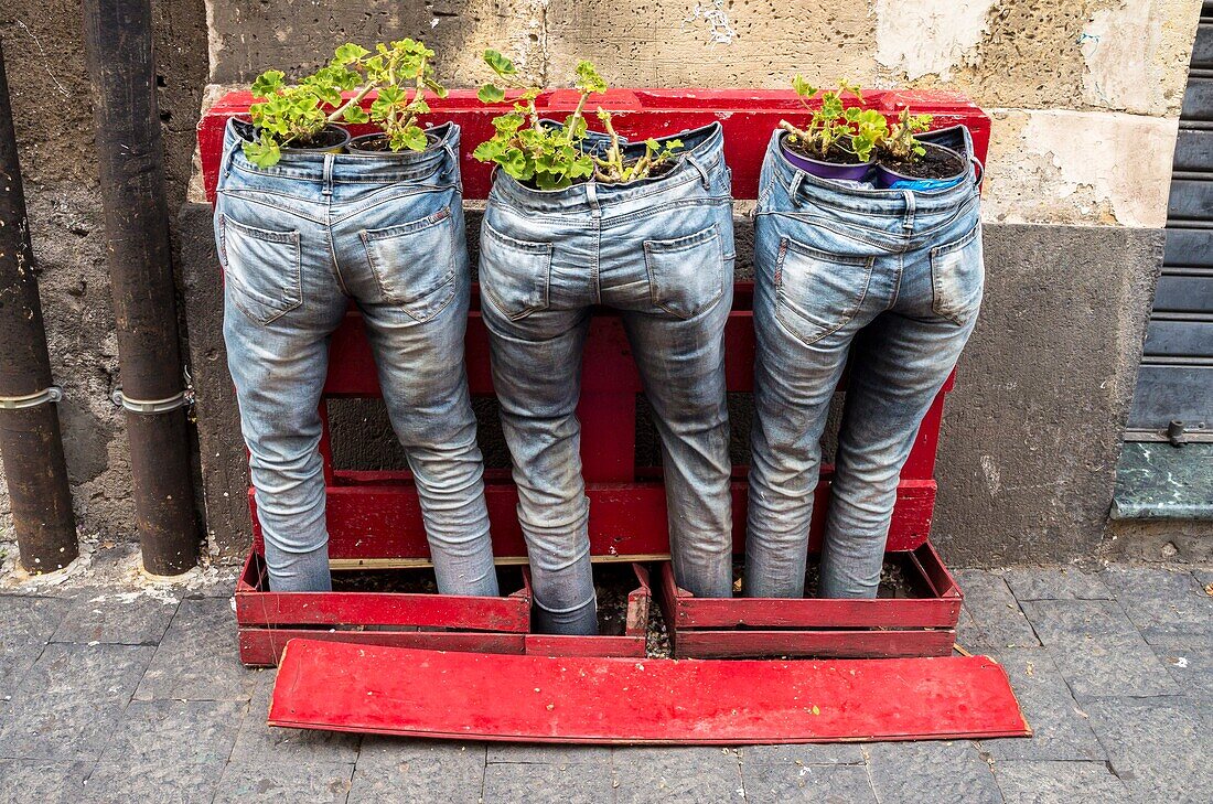 Blaue Jeans mit Pflanzen, Acireale, Catania, Sizilien, Italien.