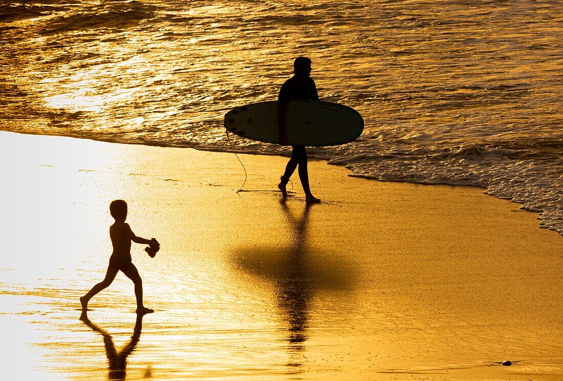 La Cicer,Playa de Las Canteras,Las Palmas,Gran Canaria,Canary Islands,Spain. Surfers at sunset on the city beach in Las Palmas.