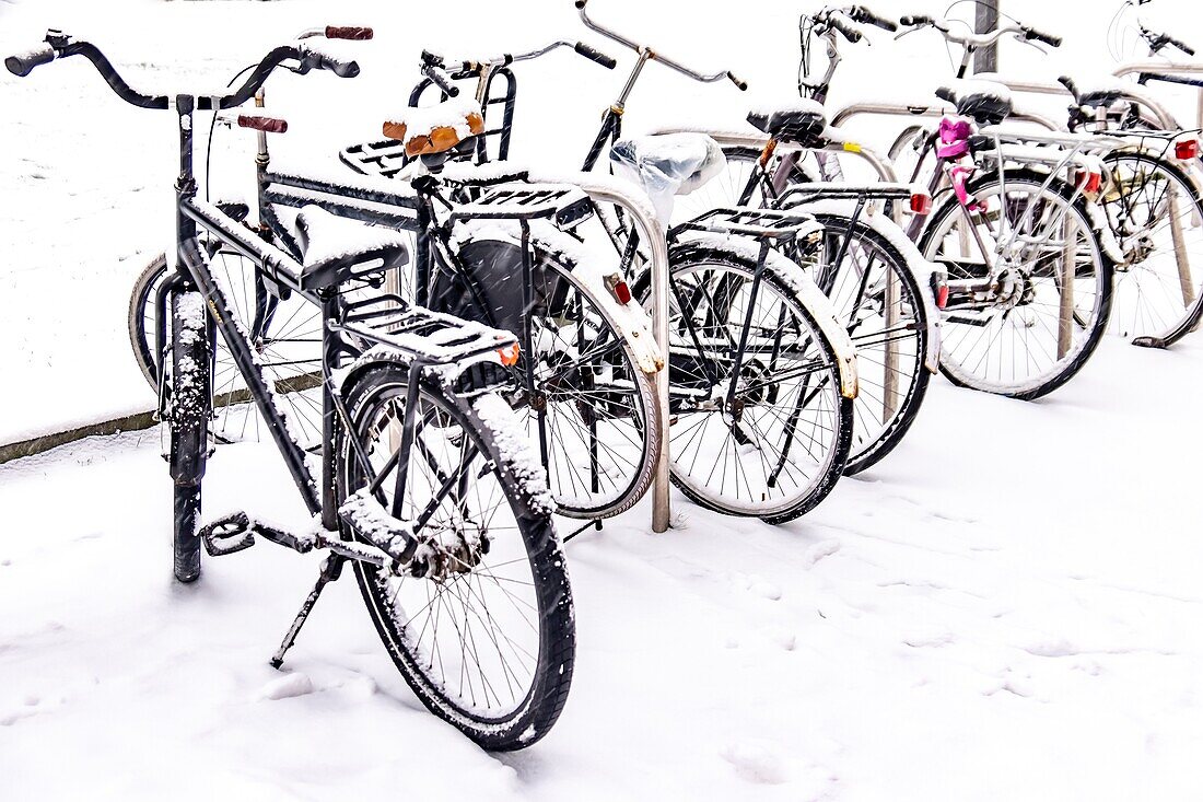Eingeschneit unter Fahrrädern in Eindhoven, Niederlande, Europa.